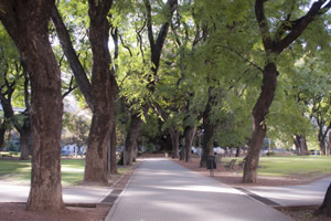 Plaza Vicente Lopez